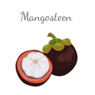 ɽ�����������ֻ���v3.4.1 ��Ѱ�