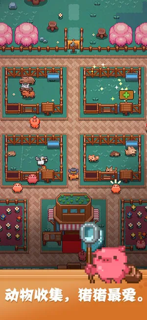开拓猪之岛2025官方最新版本 开拓猪之岛2025官方最新版本