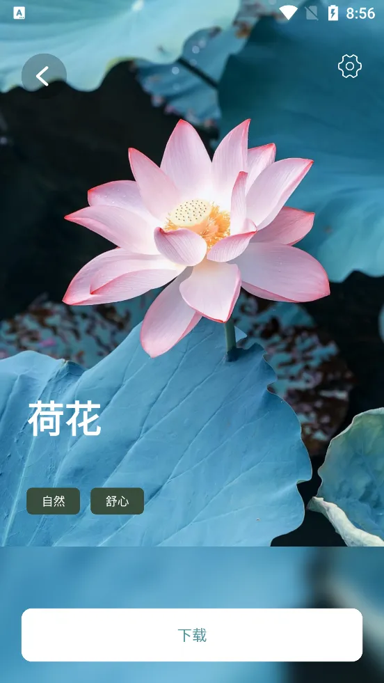 ˯������(���߰�����)v21.7.02 ��Ѱ�