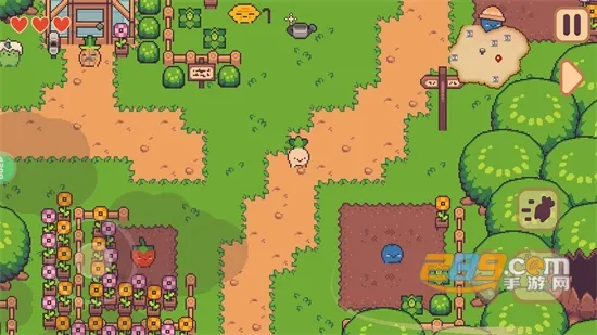 大头菜菜历险记(大头菜冒险) 大头菜菜历险记(大头菜冒险)