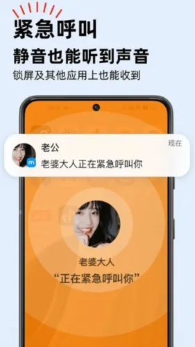 密度空间2025官方最新版本 密度空间2025官方最新版本