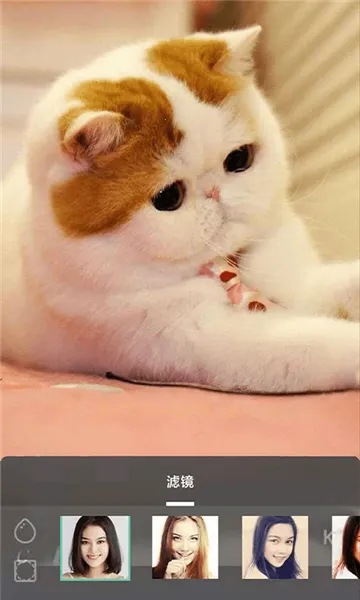 �����㰲׿���ֻ���v1.53.0 �ֻ���