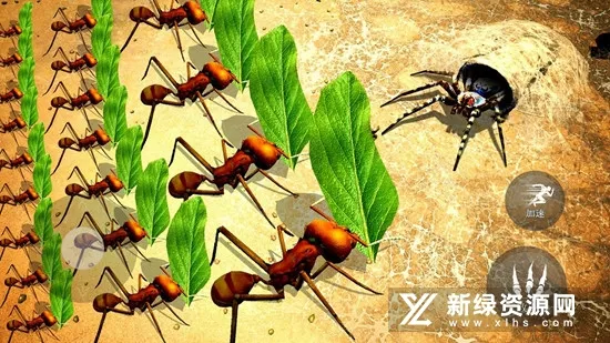 昆虫捣蛋模拟(昆虫模拟) 昆虫捣蛋模拟(昆虫模拟)