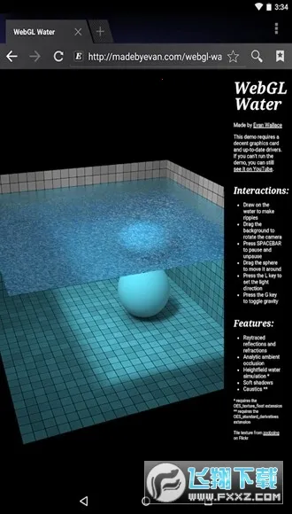 Android System WebView Canary(Webview组件)截图