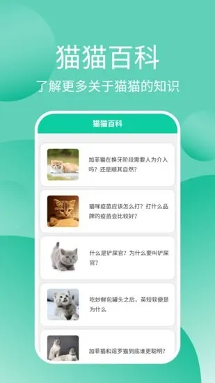 猫猫交流器(猫咪交流软件) 猫猫交流器(猫咪交流软件)
