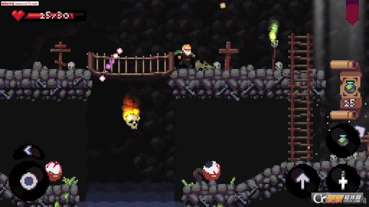 ʮ��ɷ(�����Ծ�)v1.0 �ٷ�����