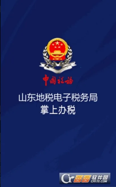 山东地税2025官方正版截图