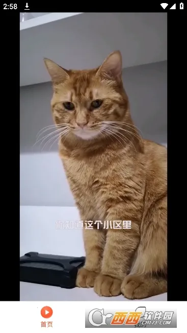 ����̾�(�̾粥��ƽ̨)v1.0.0 ��׿��