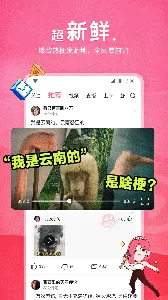 ƤƤϺ2025���°汾v5.7.5 ��Ѱ�