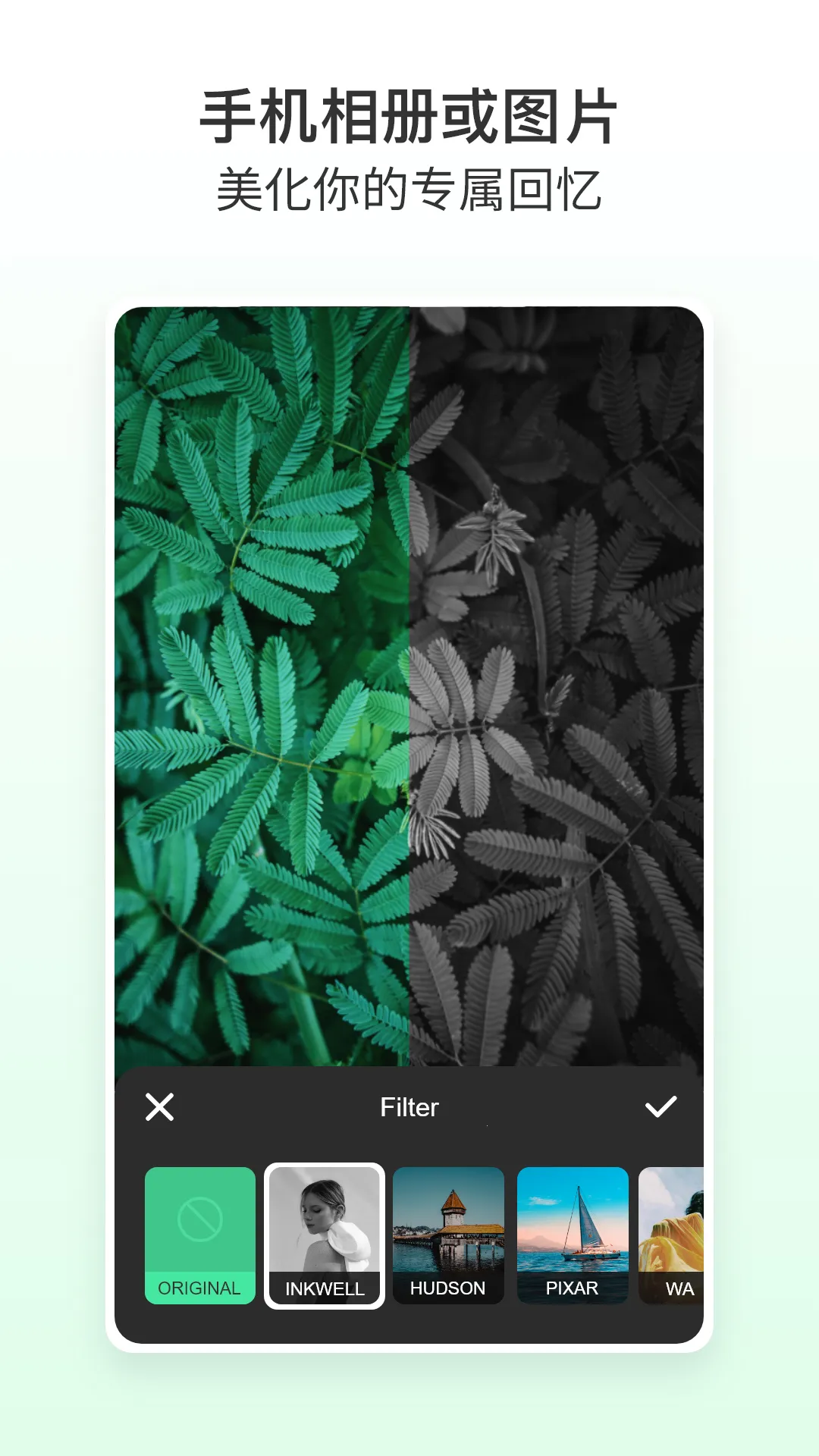 ��ͼ��ʦ2025�ٷ����°汾v5.4.1 �ֻ���