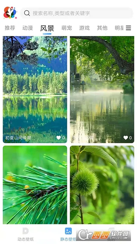 小鸟壁纸2025最新版本截图