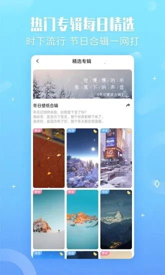 小鸟壁纸2025最新版本截图