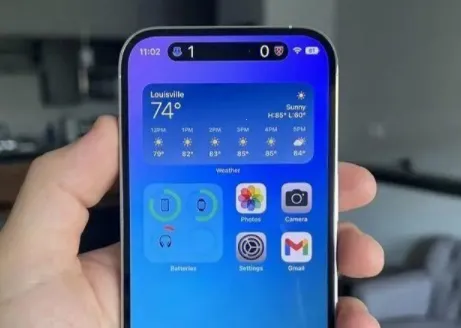 �鶯��2025�ٷ�����