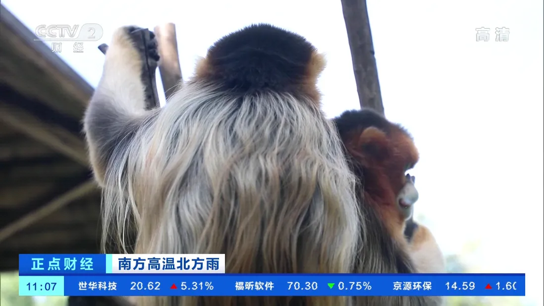 TVHub(免费影视播)截图