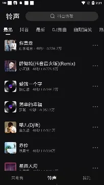 ������Ƶ�������(�������ֽ)