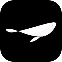 ��ѡ�̳�2025�ٷ�����v1.0.0 �ٷ�����