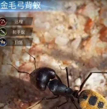 小小蚁国(蚂蚁策略养成) 小小蚁国(蚂蚁策略养成)