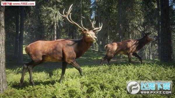 ���ˣ���Ұ���ٻ�(�����������)v1.0 ��׿��