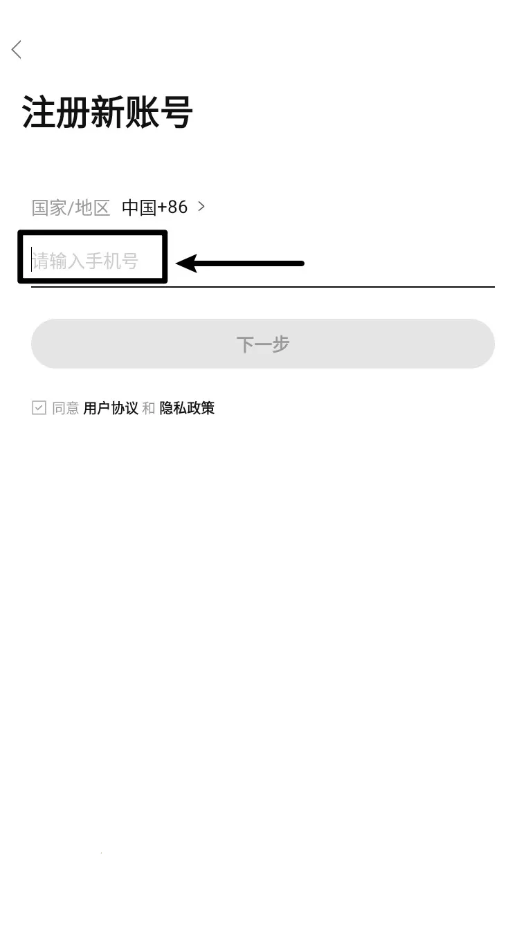 ������(�����������)