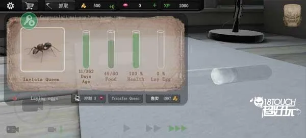 蚂蚁模拟大亨(蚂蚁模拟游戏) 蚂蚁模拟大亨(蚂蚁模拟游戏)