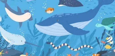 点点小视频2025最新版本 点点小视频2025最新版本