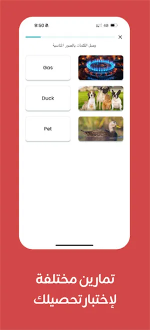 Taleek视频课程(语言学习软件) Taleek视频课程(语言学习软件)