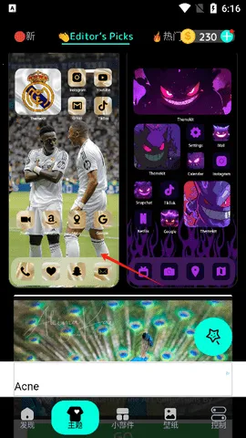 WidgetKit(���涨��App)v8.8 �ֻ���