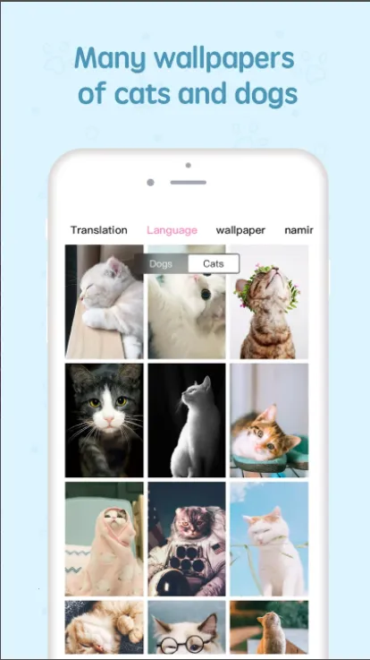 �������Է�����2025���ذ�װv2.3.4 ��׿��