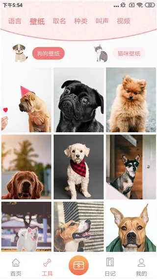 动物语言翻译器2025下载安装 动物语言翻译器2025下载安装