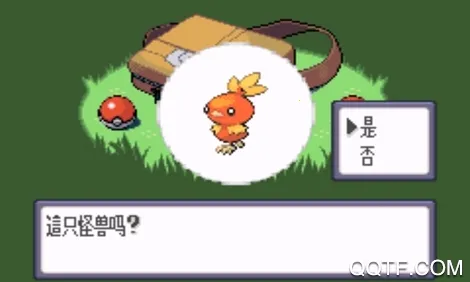 �ڴ���������ʯ ���İ�(��������ð����)v2021.12.28.17 ��׿��