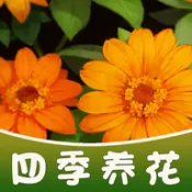 �ļ�������׿���ֻ���v1.0.2 ��׿��