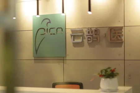 云鹊医(基层医疗服务平台) 云鹊医(基层医疗服务平台)