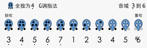 �յѼ���(�յ�ѧϰ����)