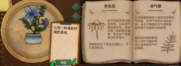 奇异园艺安卓版手机版 奇异园艺安卓版手机版