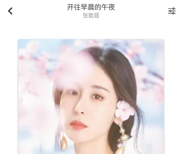 LXMusic2025官方正版 LXMusic2025官方正版