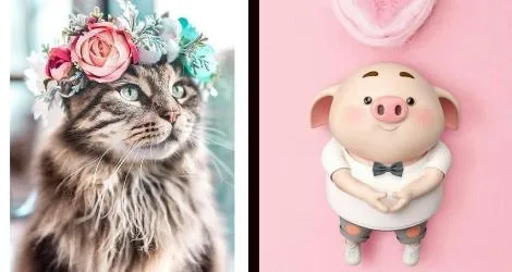 爱玩壁纸2025最新版本