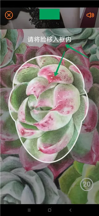 老来网(养老服务平台) 老来网(养老服务平台)