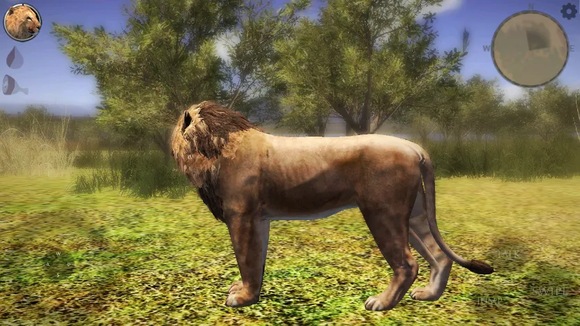 �ռ�ʨ��ģ����22025���ذ�װv3.0 �ٷ�����