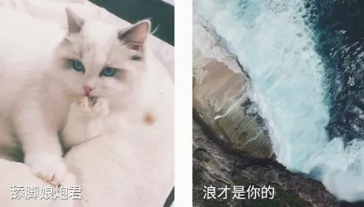 福星来电(来电秀软件) 福星来电(来电秀软件)