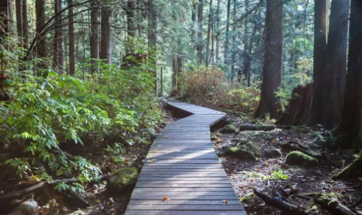 悟空壁纸2025官方最新版本 悟空壁纸2025官方最新版本