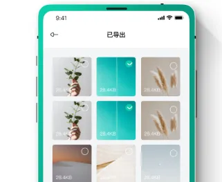 恢复大师(数据恢复软件) 恢复大师(数据恢复软件)