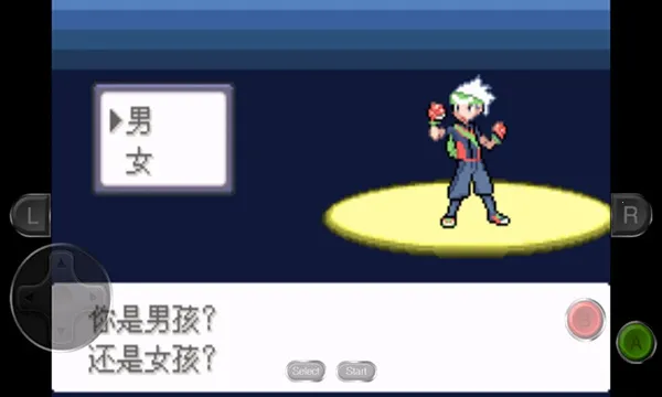 口袋妖怪永恒之沫(宠物对战冒险游)截图