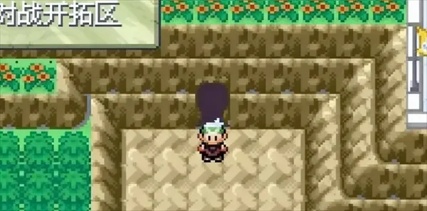 口袋妖怪永恒之沫(宠物对战冒险游) 口袋妖怪永恒之沫(宠物对战冒险游)