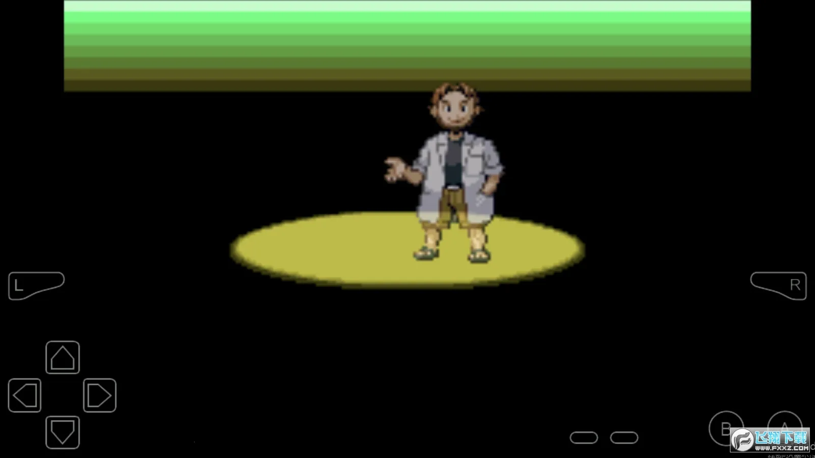 口袋妖怪刽曜之影2025下载安装截图