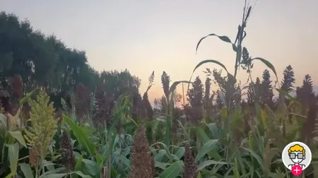 潮新闻2025官方最新版本 潮新闻2025官方最新版本