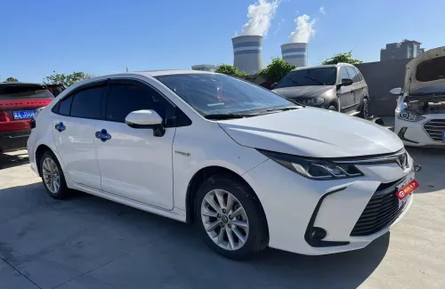 腾达拍车2025下载安装 腾达拍车2025下载安装