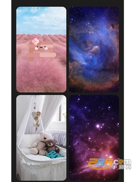 布丁壁纸(壁纸软件功能全) 布丁壁纸(壁纸软件功能全)