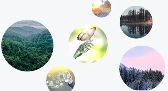 �̳������ֻ���