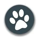 ���﷭��(�ı����ܹ���)v1.5 �ֻ���