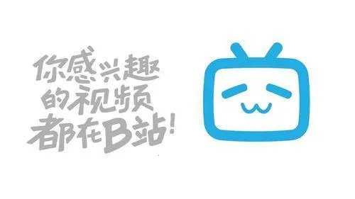 ��������(��Ƶ��������)